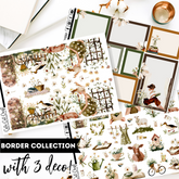Daisy Haze || Border Collection