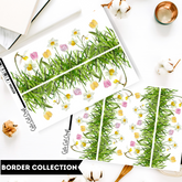 Daffodils || Border Collection