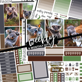 Cute Koala #368 || Big HP Weekly & Monthly