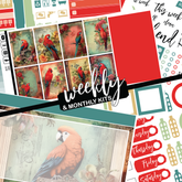 Red Parrot #365 || CHP Dashboard Weekly & Monthly