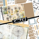 Retro Dandelion #277 || CHP Dashboard Weekly & Monthly