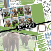 Elephant Expedition #349 || CHP Dashboard Weekly & Monthly