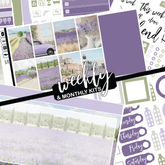 Lavender Fields #346 || CHP Dashboard Weekly & Monthly