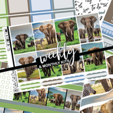 Elephant Expedition #349 || ECLP Weekly & Monthly