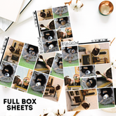 Guinea Pigs #328 || Full Boxes