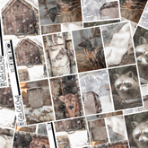 Winter Solitude #375 || Full Boxes