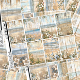 Beachscape #350 || Full Boxes