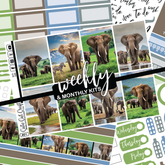 Elephant Expedition #349 || Classic HP Weekly & Monthly