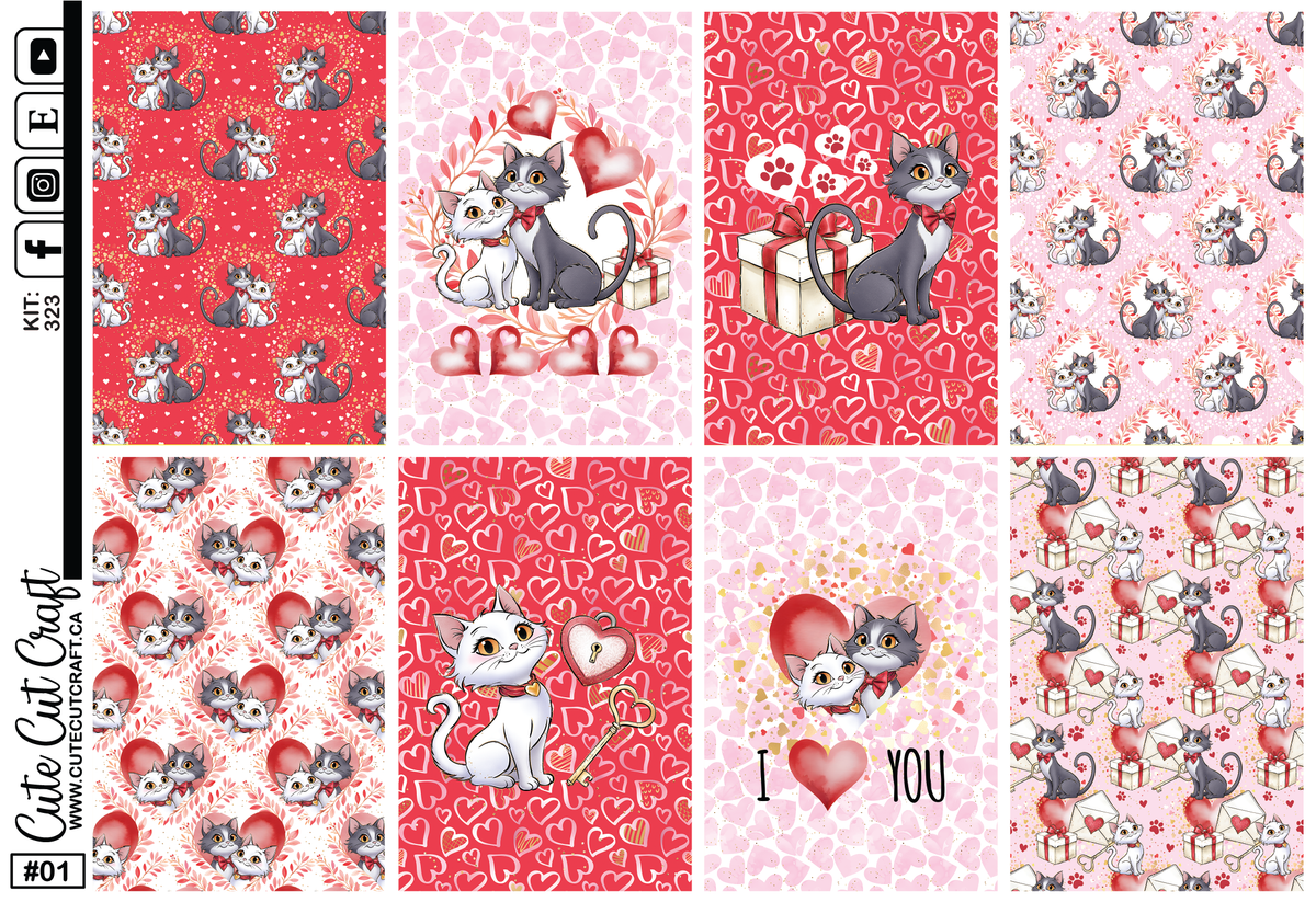 Kitty Love  #323 || Full Boxes