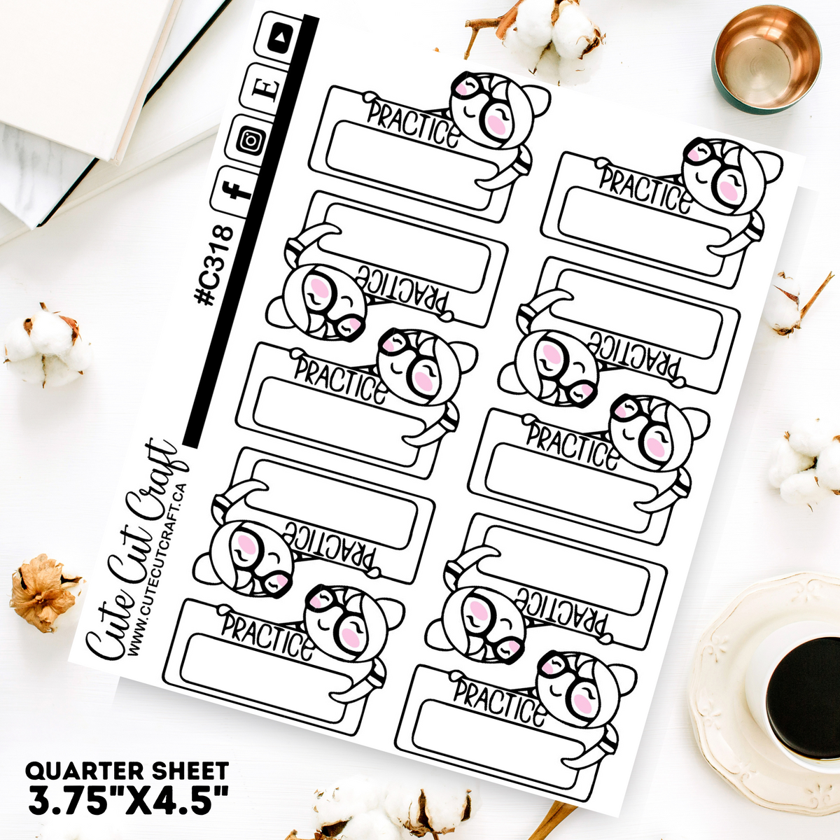 Practice Paige #318 || Planner Paige