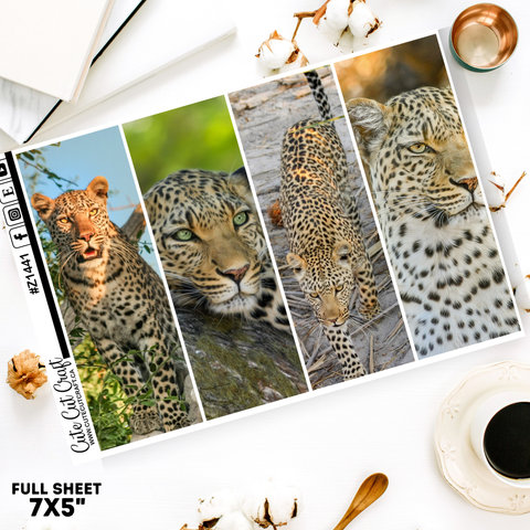 Sleek Cheetah Sidebar Set