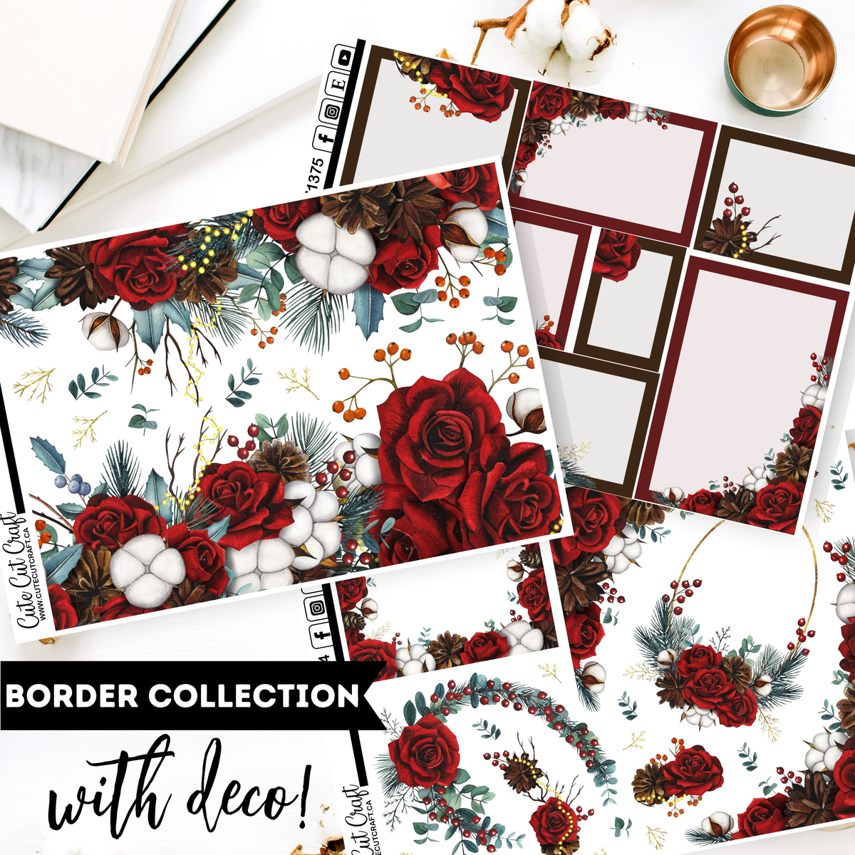 Winter Rose || Border Collection
