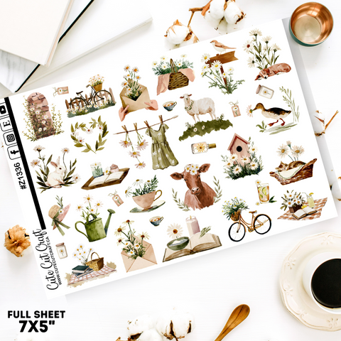 Daisy Haze || Border Collection