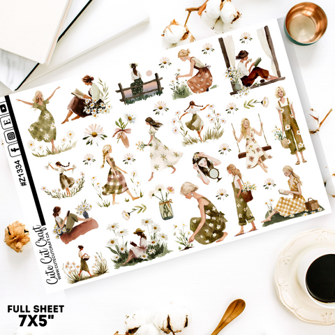 Daisy Haze || Border Collection