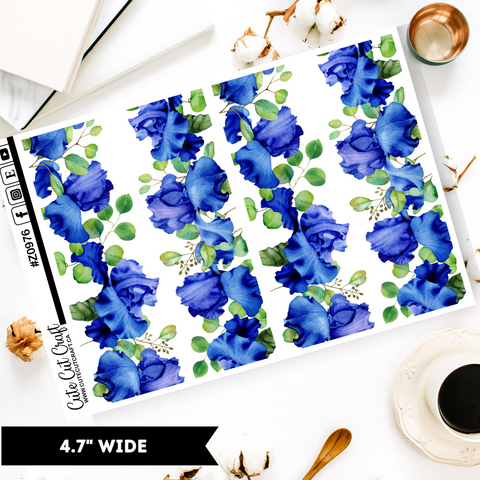 Summer Iris || Border Collection