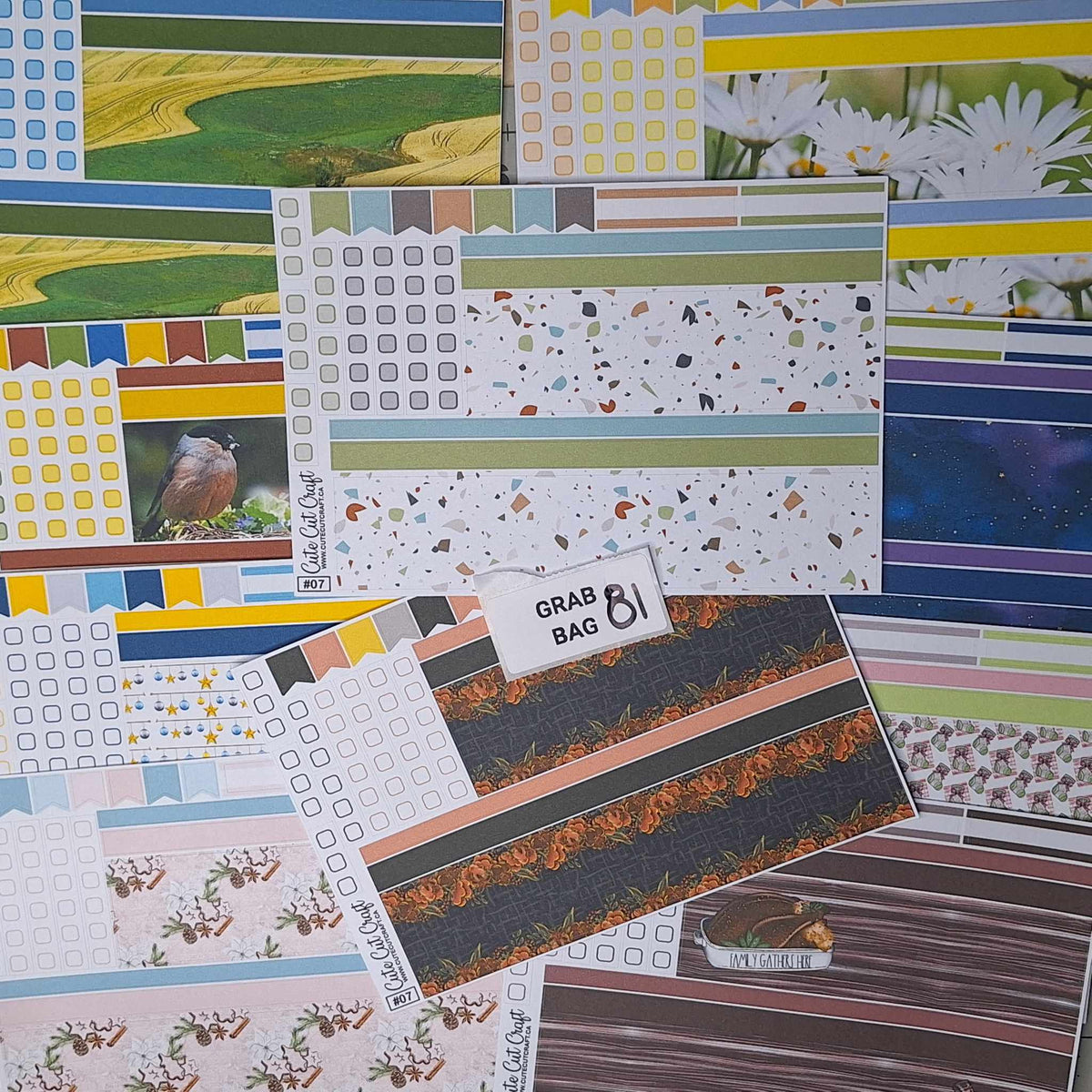 #7 Bundle || Grab Bag #81