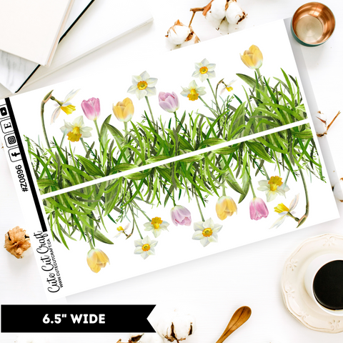 Daffodils  || Border Collection