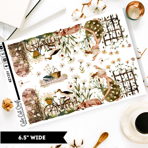 Daisy Haze || Border Collection