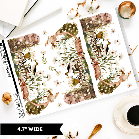 Daisy Haze || Border Collection