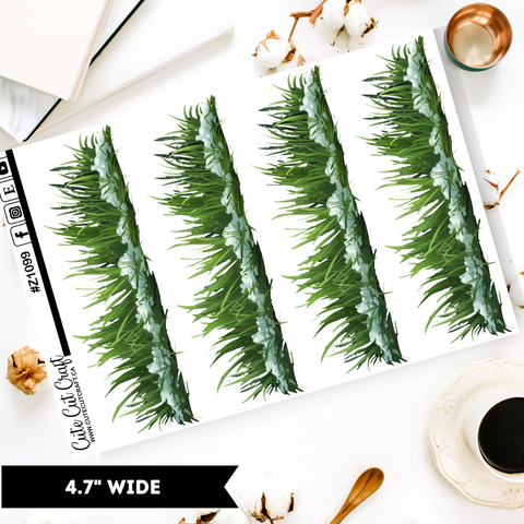 Summer Snow || Border Collection