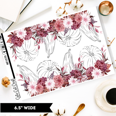 Oh Ma Gourd || Border Collection