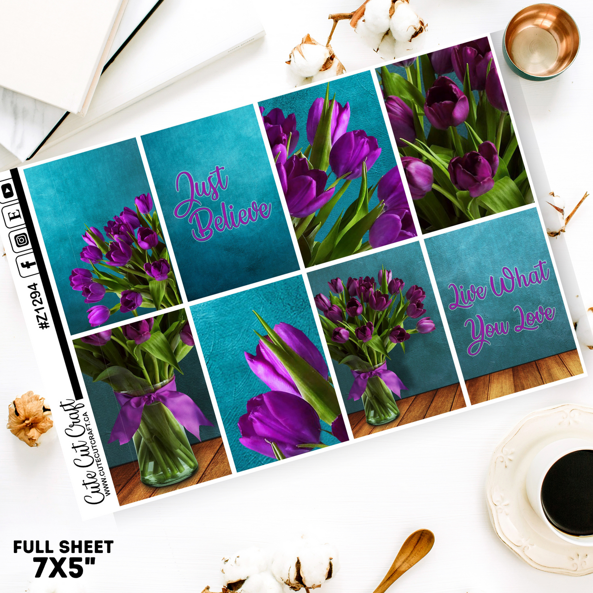 Purple Tulip #Z1294 || Full Boxes