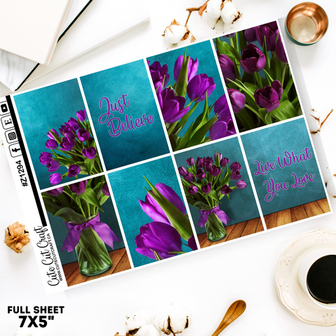 Purple Tulip #Z1294 || Full Boxes