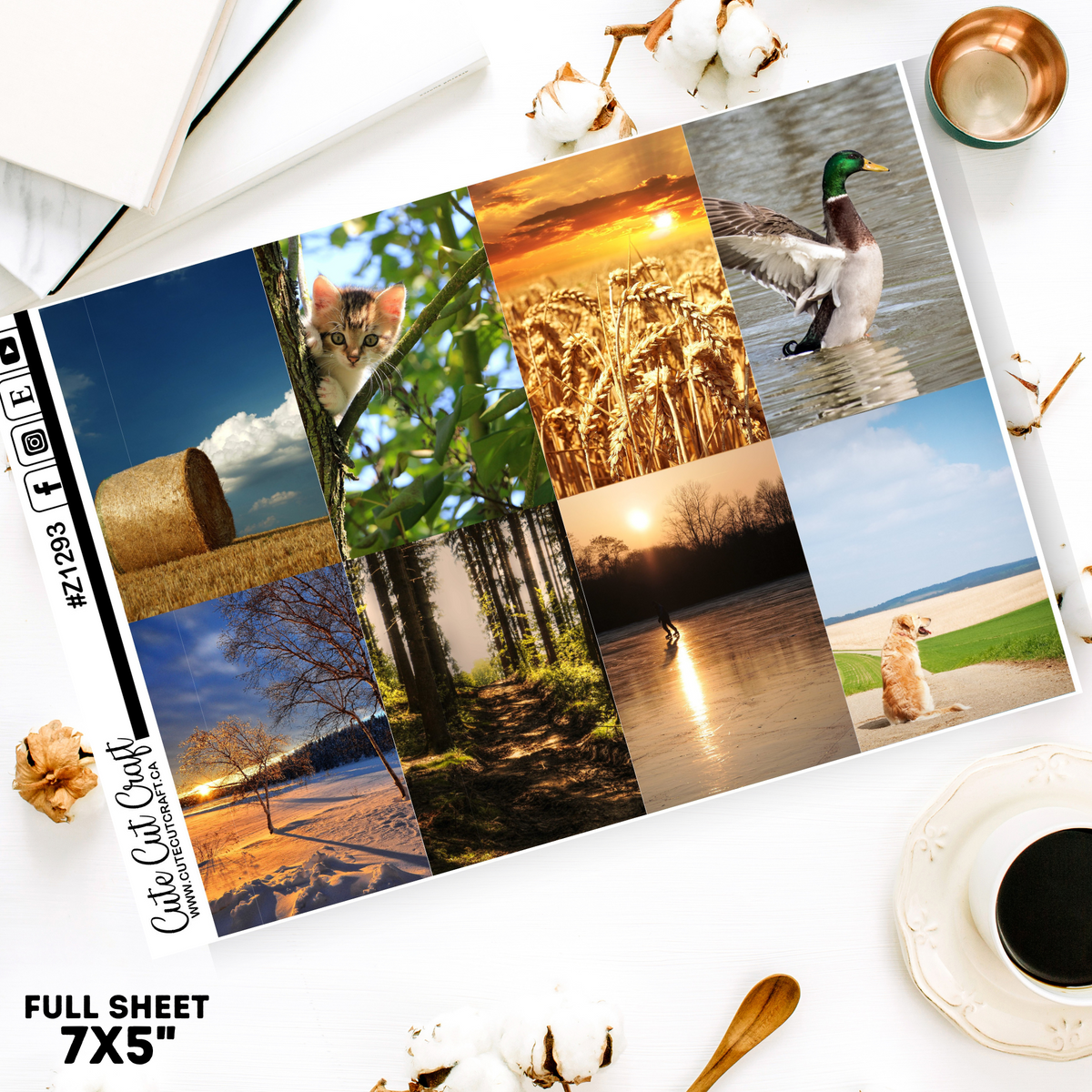 Prairie Life #Z1293 || Full Boxes