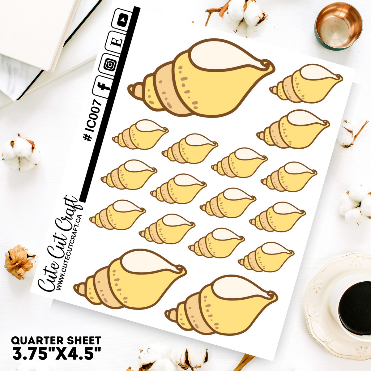 Seashell #007 || Decorative Icons