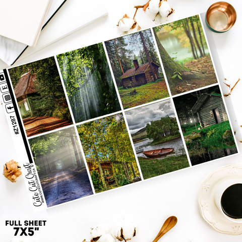 Cabin Life #Z1287 || Full Boxes