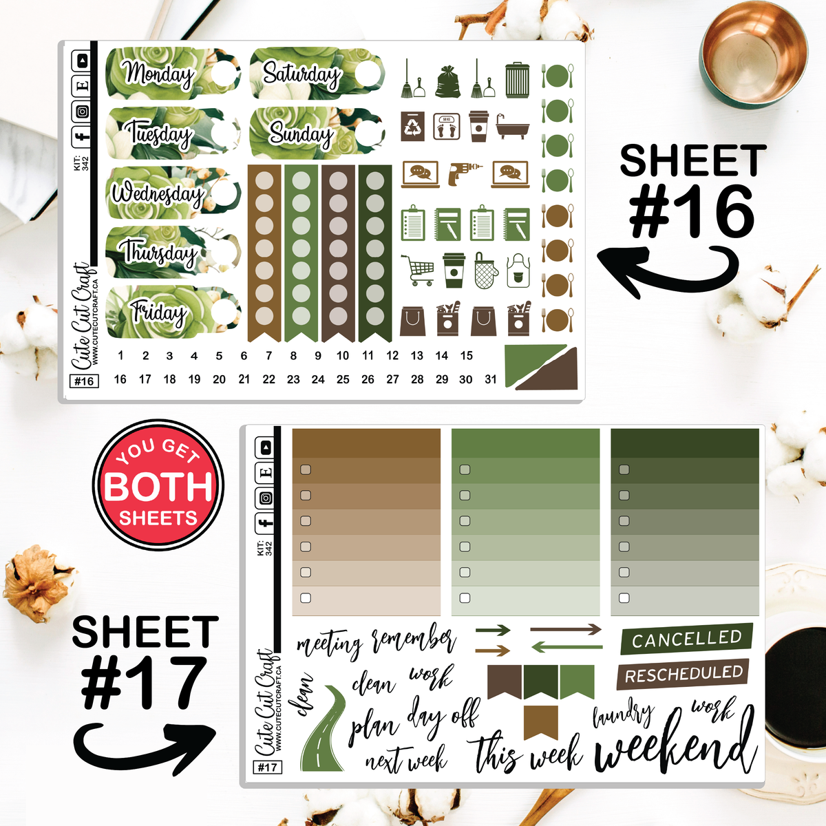 Water Buddies #342 || Big HP Weekly & Monthly