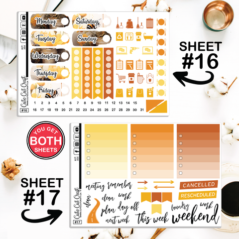 Bumble Bee #354 || Big HP Weekly & Monthly