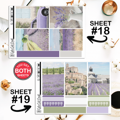 Lavender Fields #346 || Big HP Weekly & Monthly