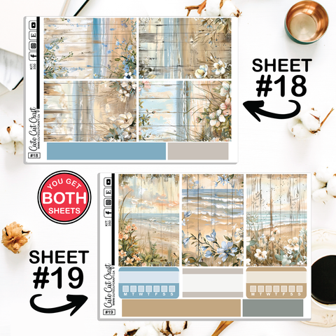 Beachscape #350 || Big HP Weekly & Monthly