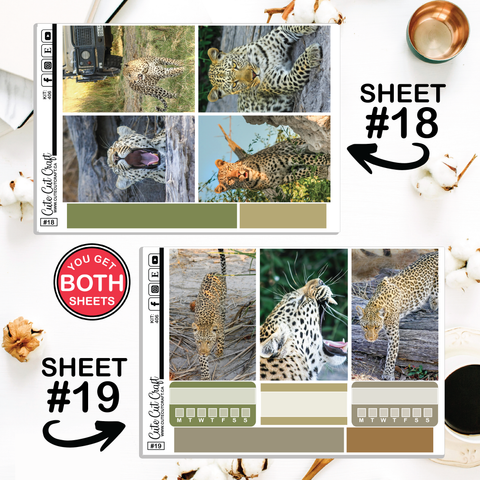 Leopard #406 || Big HP Weekly & Monthly