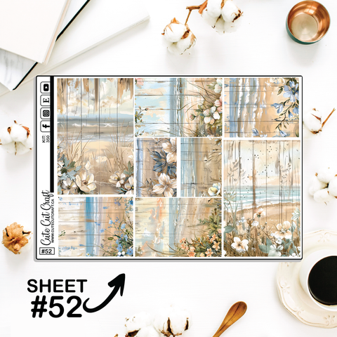 Beachscape #350 || Big HP Weekly & Monthly