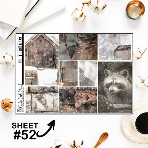 Winter Solitude #375 || Big HP Weekly & Monthly