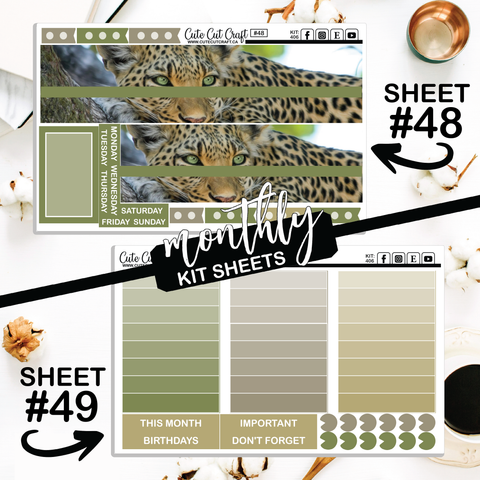 Leopard #406 || Big HP Weekly & Monthly
