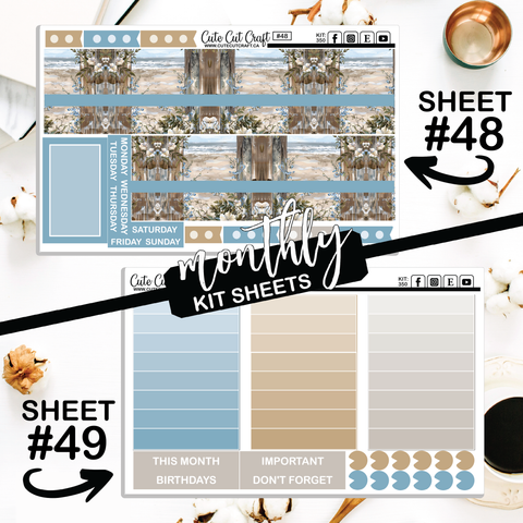 Beachscape #350 || Big HP Weekly & Monthly