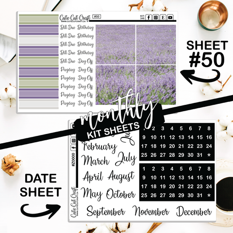 Lavender Fields #346 || Big HP Weekly & Monthly