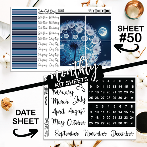 Moonlight Dandy #252 || Big HP Weekly & Monthly