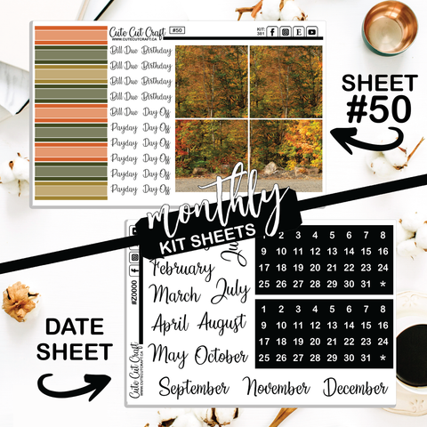 Autumn Anthem #381 || Big HP Weekly & Monthly