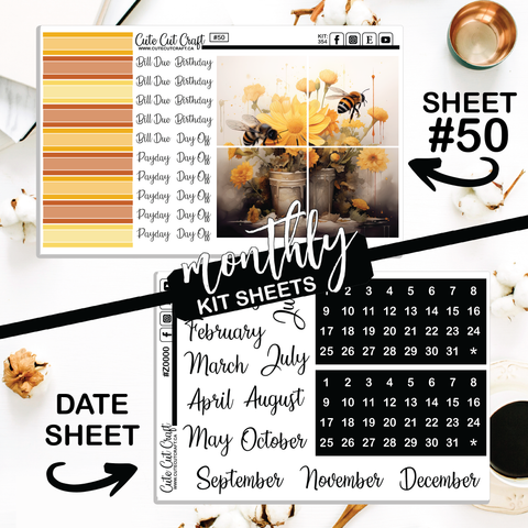 Bumble Bee #354 || Big HP Weekly & Monthly