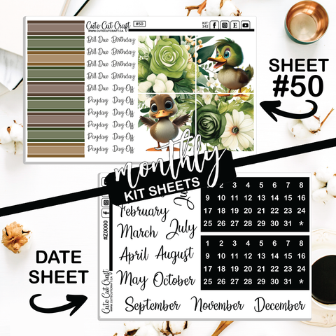 Water Buddies #342 || Big HP Weekly & Monthly