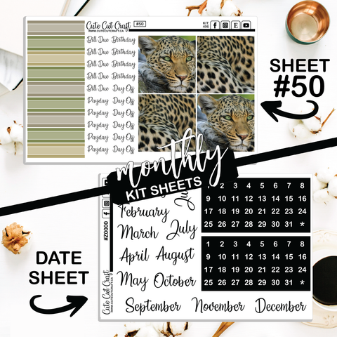 Leopard #406 || Big HP Weekly & Monthly