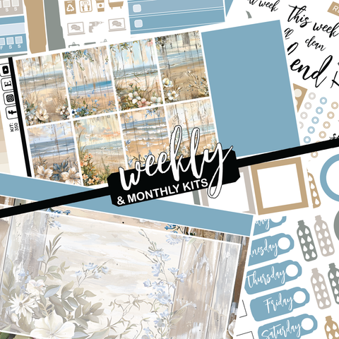 Beachscape #350 || CHP Dashboard Weekly & Monthly