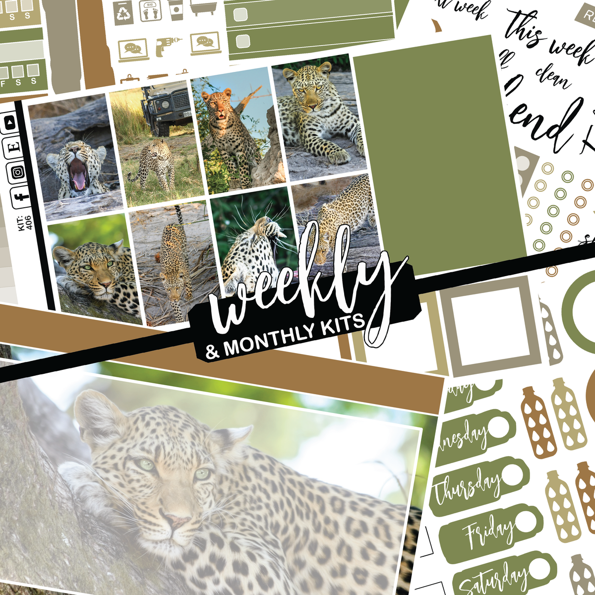 Leopard #406 || CHP Dashboard Weekly & Monthly