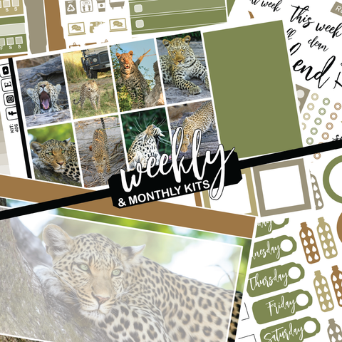Leopard #406 || CHP Dashboard Weekly & Monthly