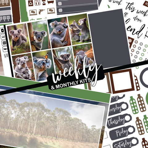 Cute Koala #368 || CHP Dashboard Weekly & Monthly