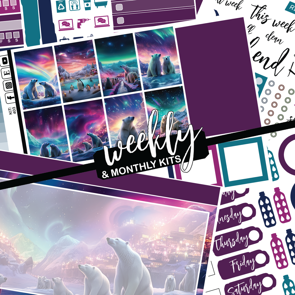 Polar Lights #403 || CHP Dashboard Weekly & Monthly